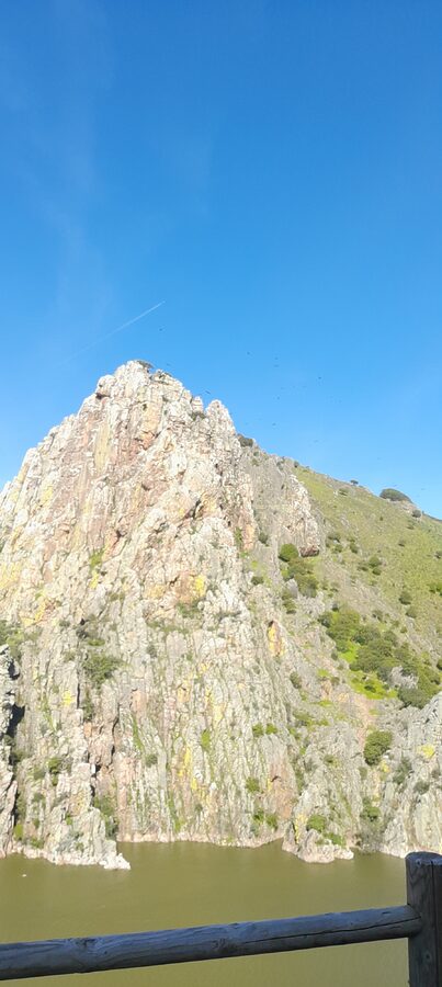 Excursión a Monfragüe 2025.
