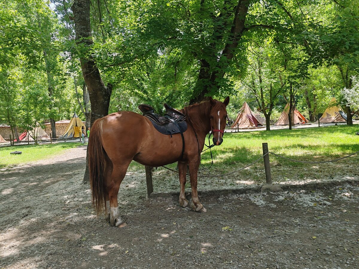 Natura 2000